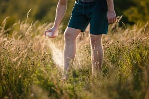 The best bug sprays, according to Consumer Reports