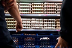 Egg prices fall on oversupply as producer margins get squeezed