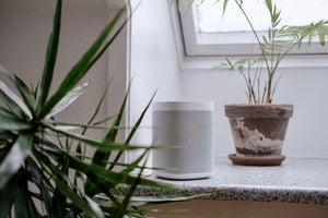 The best budget air purifiers for every room size: