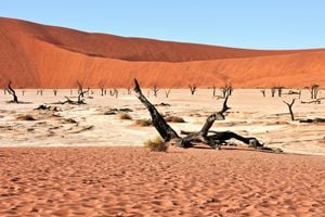 15 deserts that are worth crossing the world to see