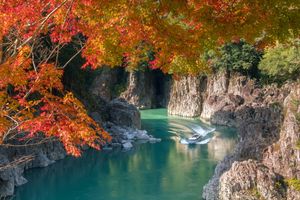 日本で最高の国立公園