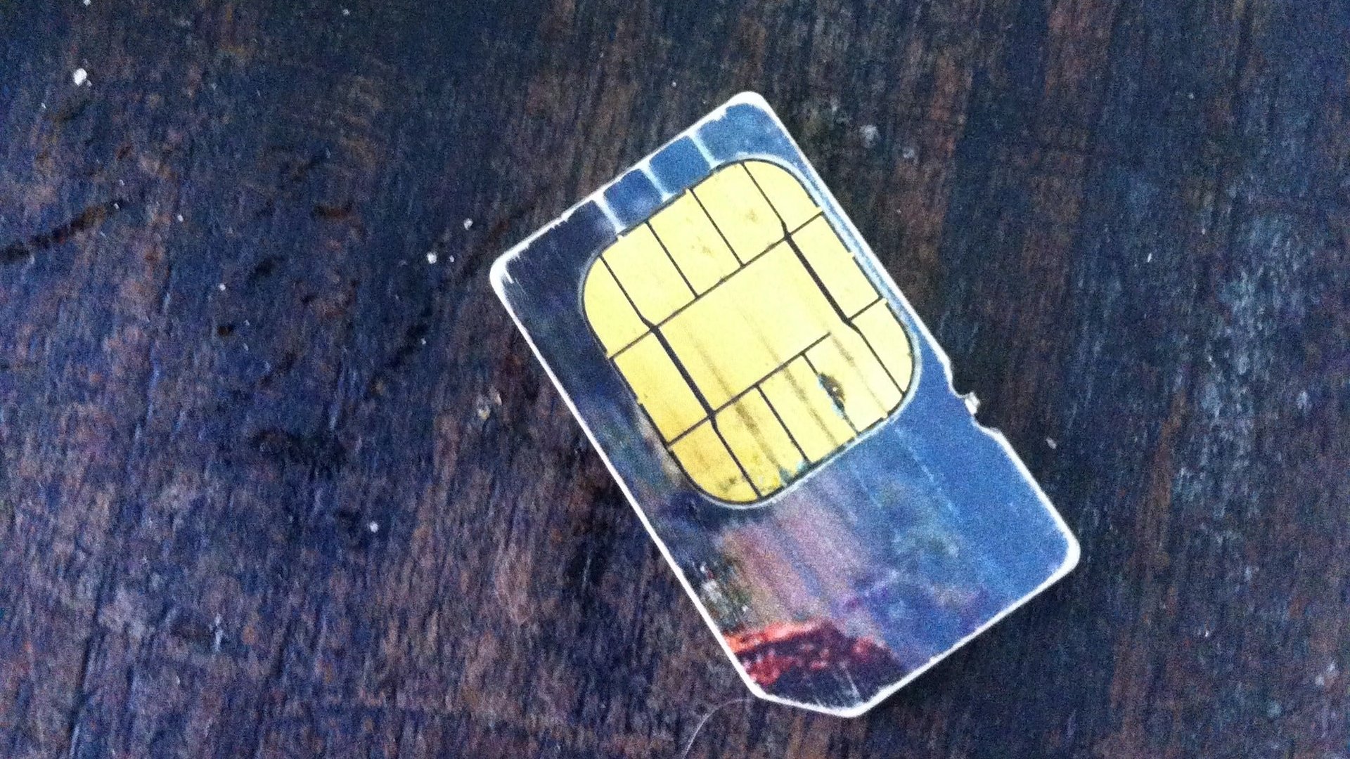 This SIM card used to cost $3,000. Democracy may bring it down to zero