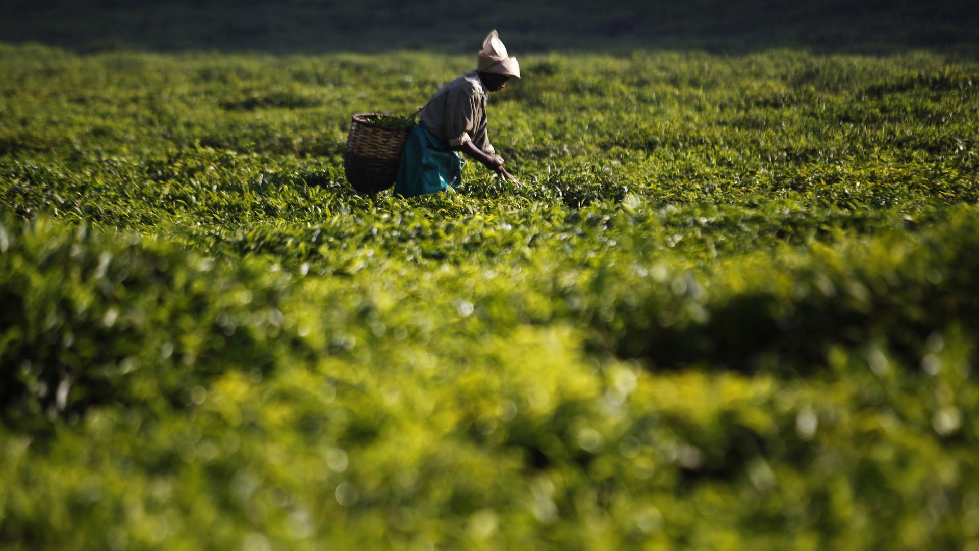 Bill Clinton failed to stop genocide in Rwanda, but his foundation is quietly making amends