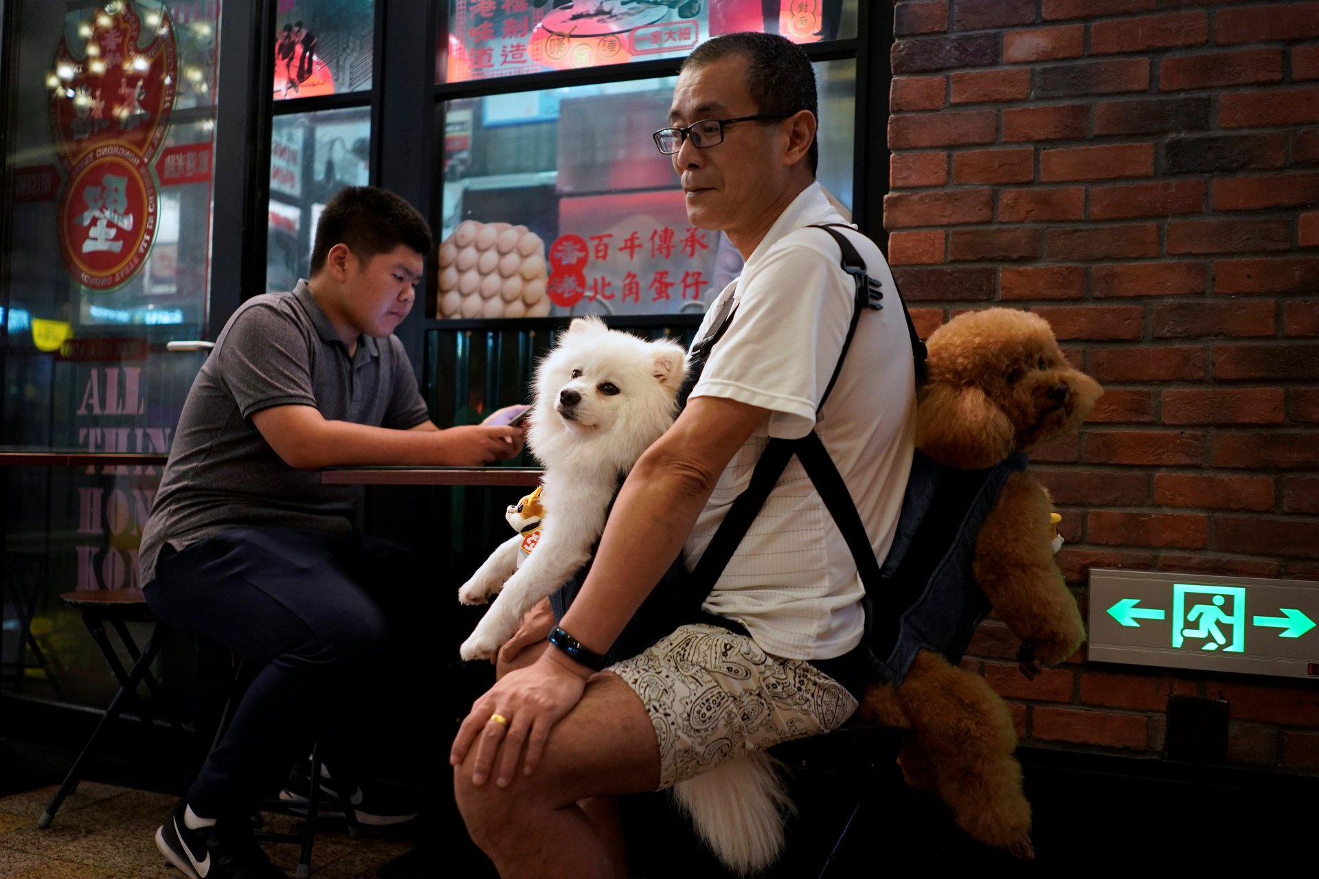 China just upgraded the status of dogs from “livestock” to “pets”