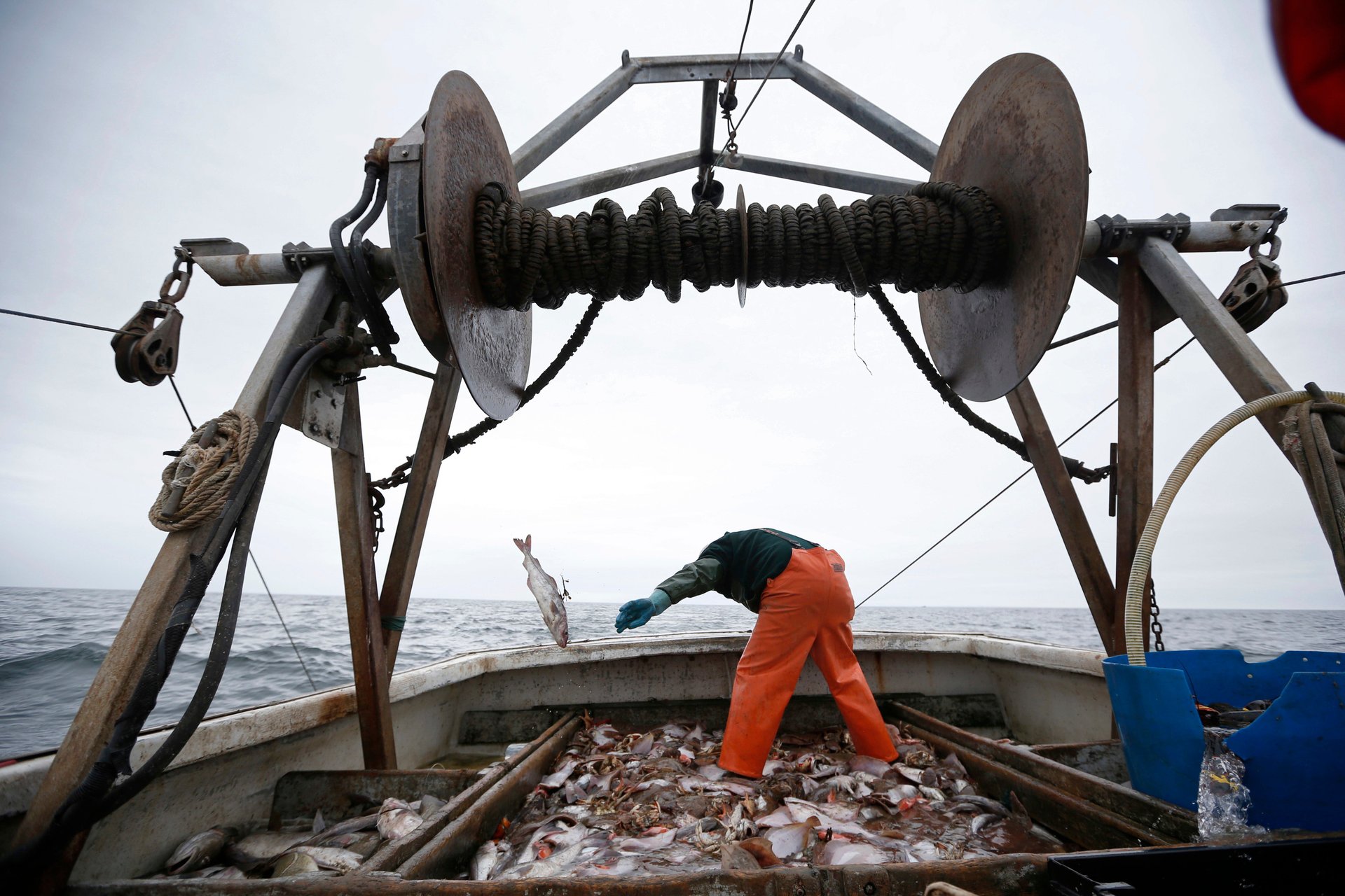The way the world catches fish defies all economic logic