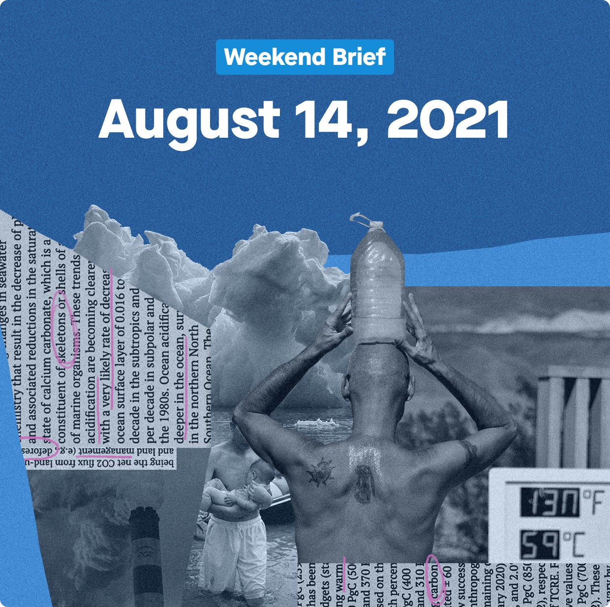 ✦ Weekend Brief—Everyone loves a climate comeback 