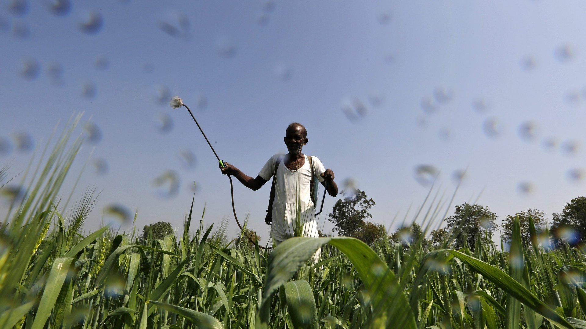 The US and UAE are spending billions in India to fight global food insecurity