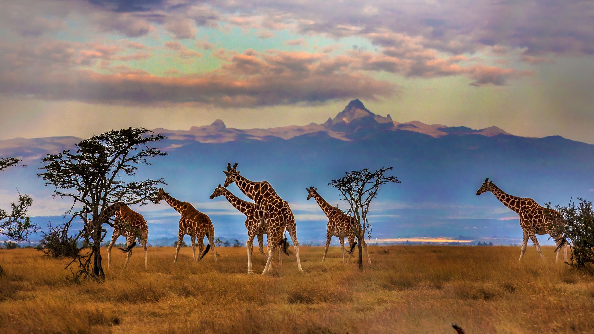The 10 best places to visit in Africa in 2026