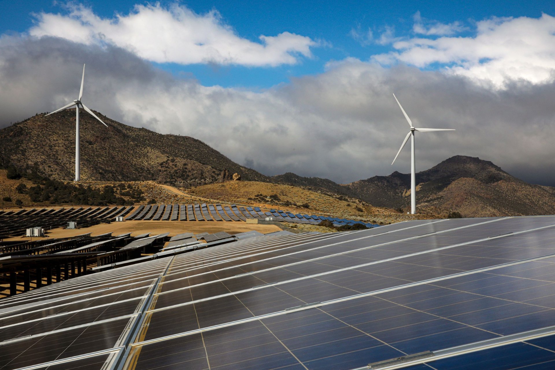 Les actions d'énergie renouvelable dégringolent, alors que Trump confirme l'absence d'approbations pour les projets éoliens ou solaires.