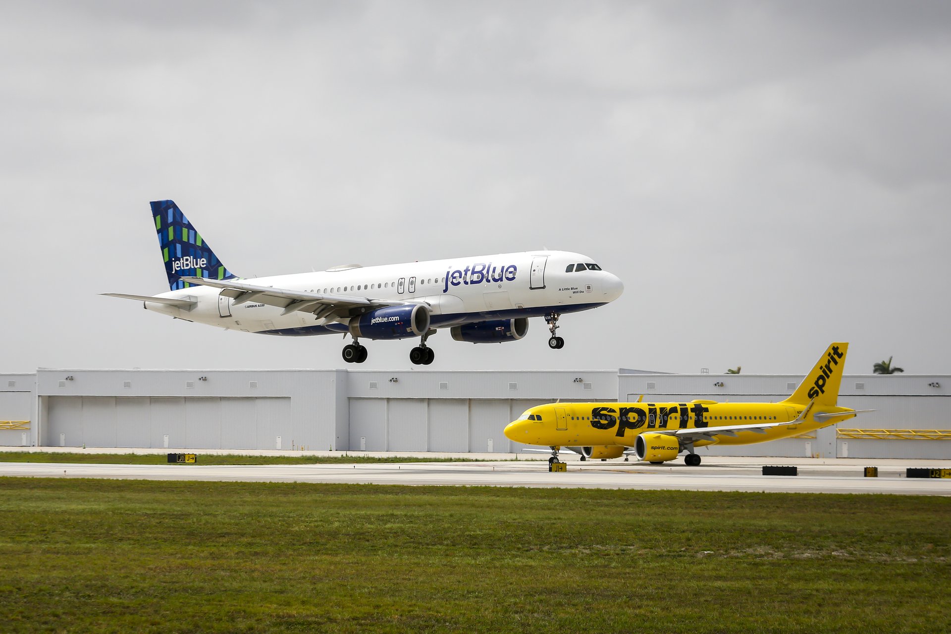 Les actions de JetBlue et Frontier s'envolent alors que l'effondrement de Spirit Airlines laisse de la place pour croître.
