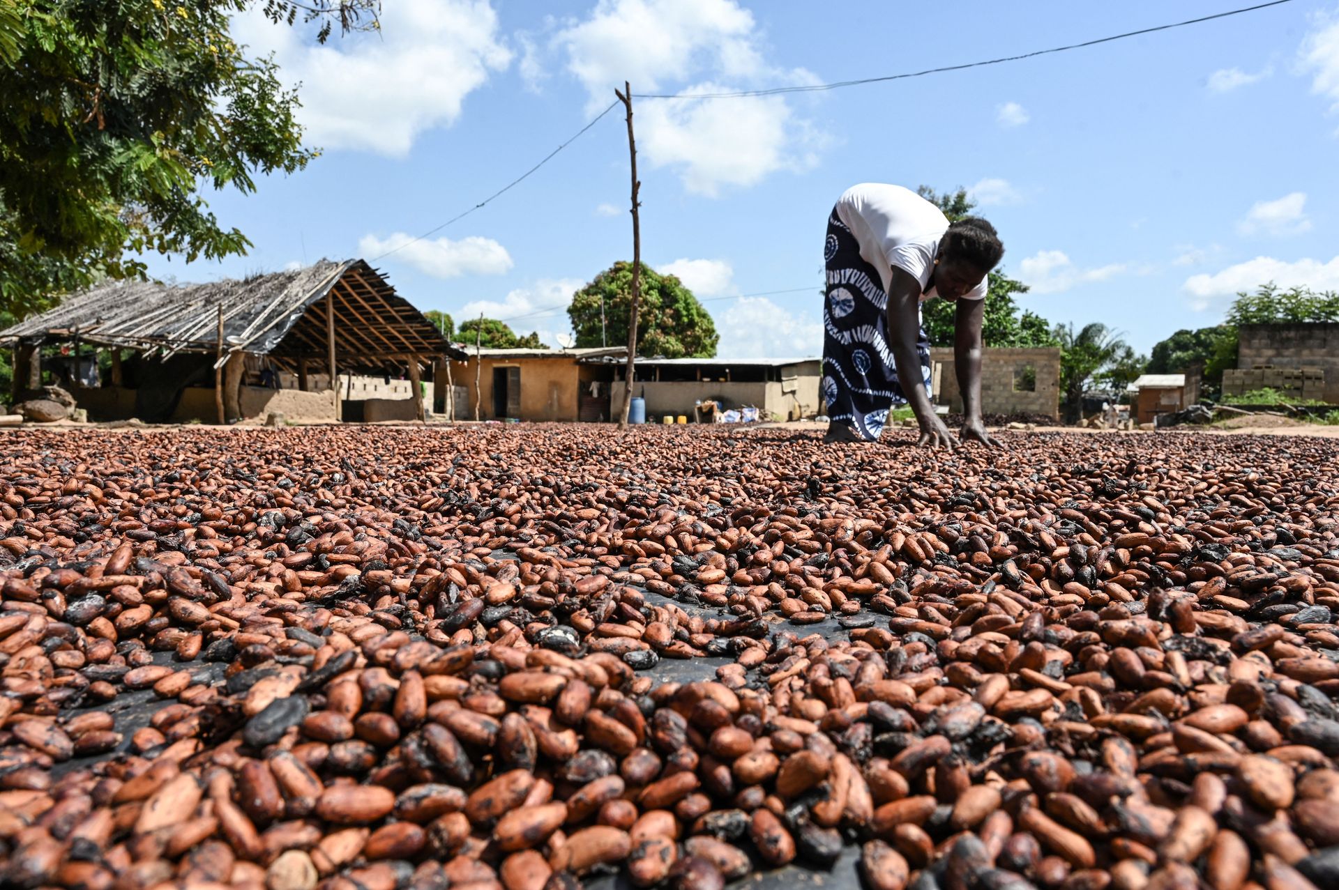 Les prix mondiaux des denrées alimentaires augmentent alors que le monde atteint des températures record, selon une étude.