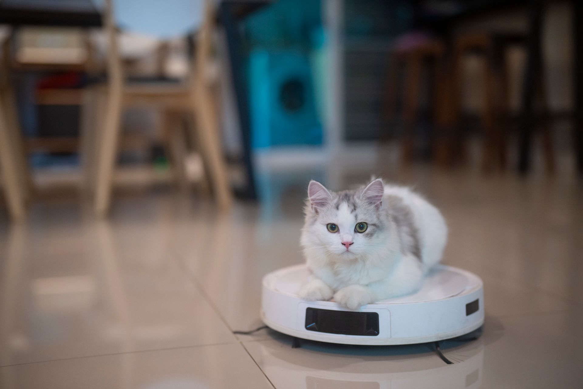 Die besten Saugroboter im Jahr 2026 laut Consumer Reports.