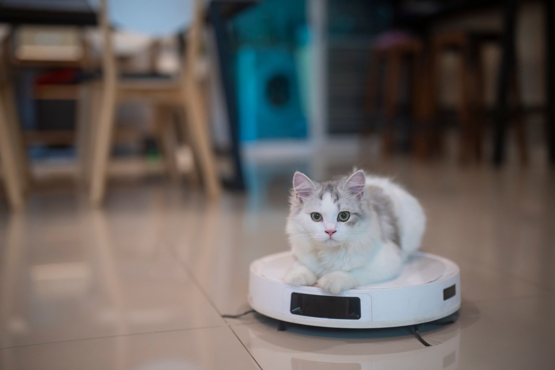 The best robot vacuum cleaners in 2026, according to Consumer Reports