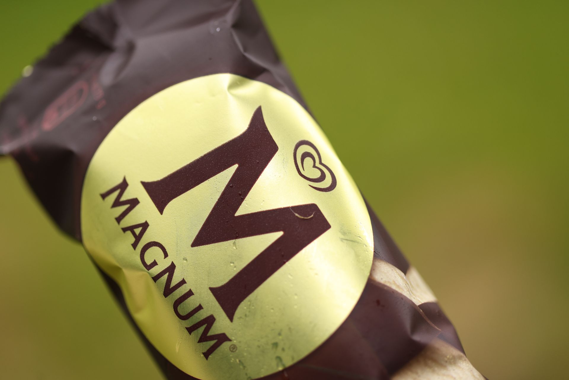 La fermeture du gouvernement retarde l'inscription de la crème glacée Magnum de près d'un mois.