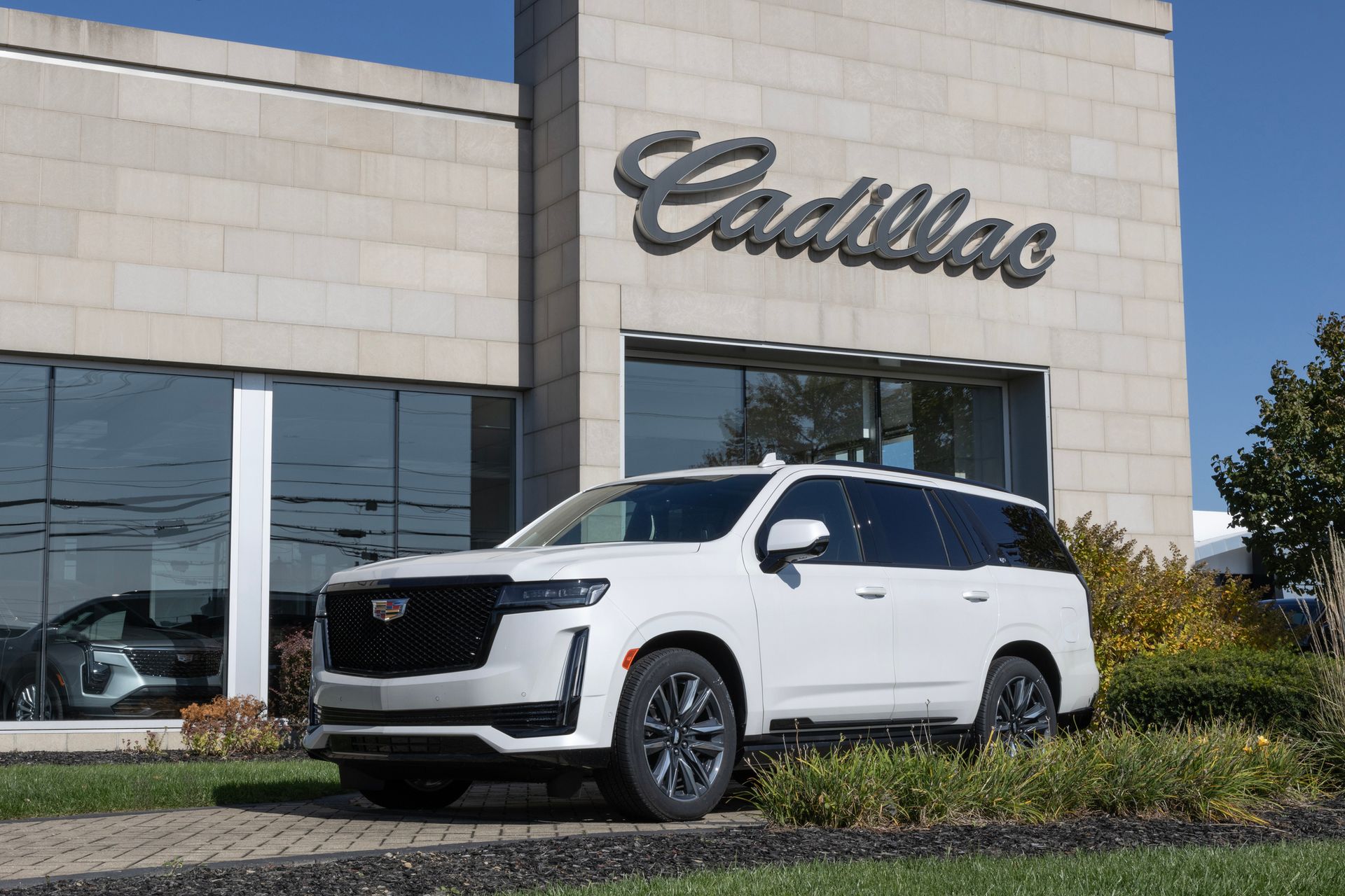 Les meilleurs grands SUV qui conviendront à votre famille et plus encore, selon Consumer Reports.