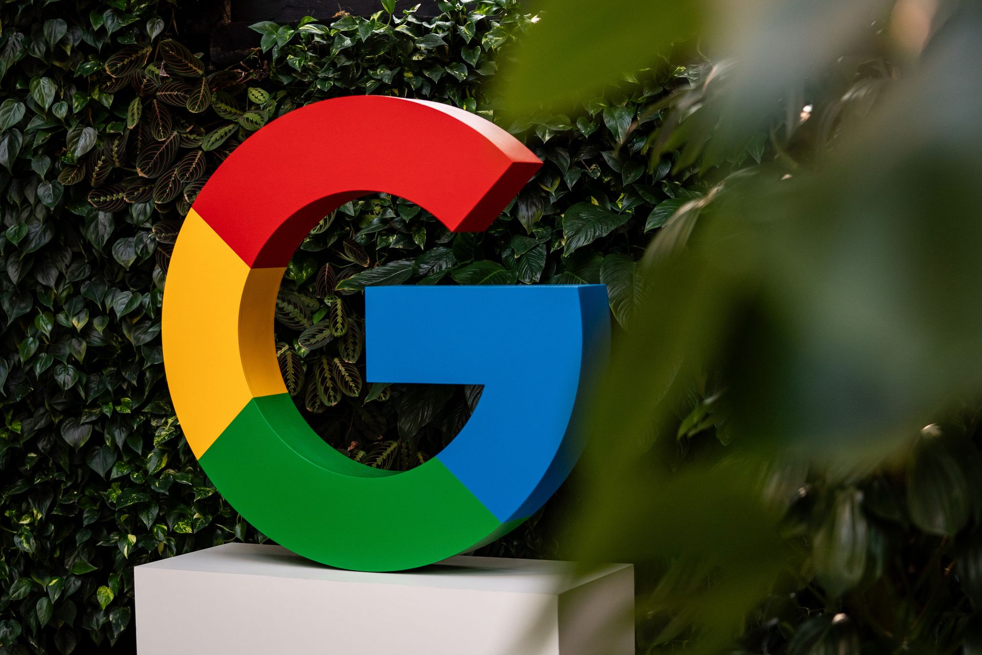 colorful 'G' Google logo on a pedestal in front of a backdrop of leaves