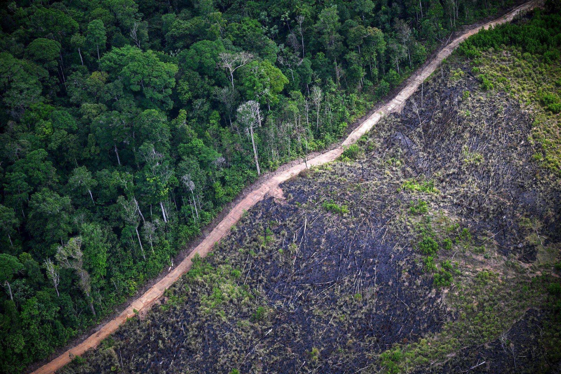 Nature has a funding gap