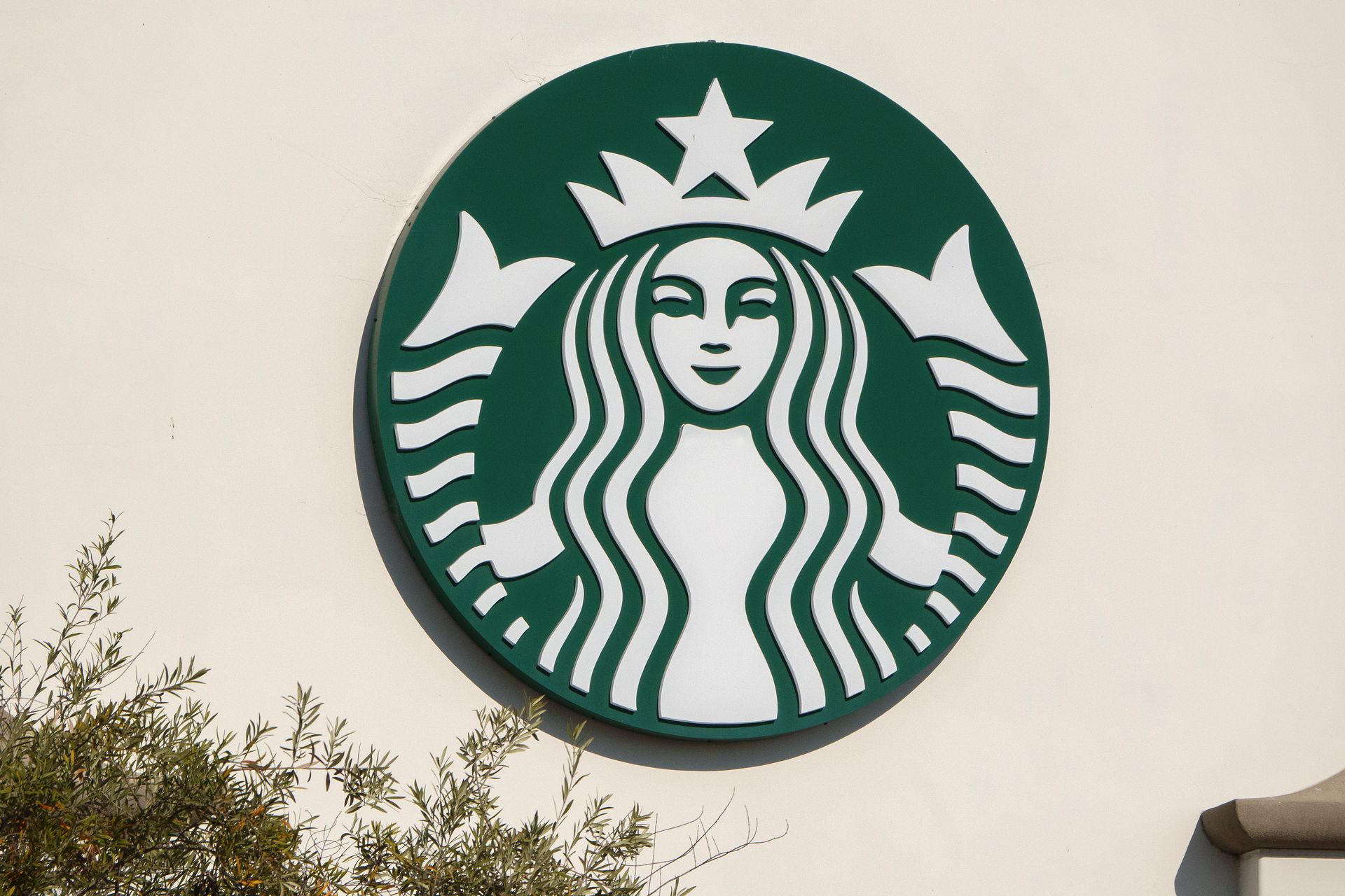 Starbucks is launching a limited-edition Miffy merchandise collection in the U.S. and Canada
