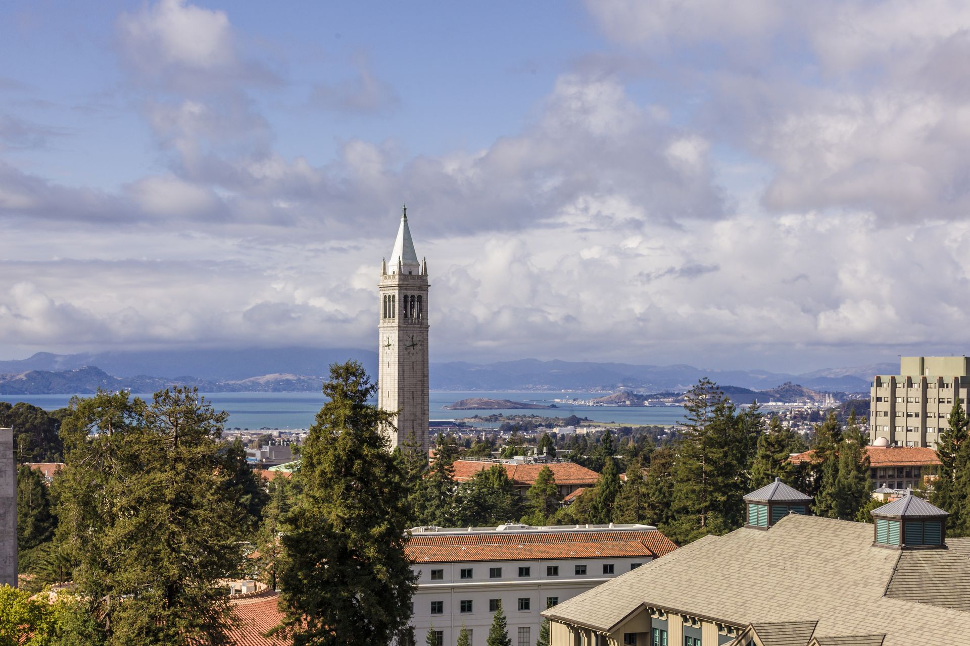 UC Berkeley's Campanile towers over the surrounding school buildings with the San Francisco Bay in the background