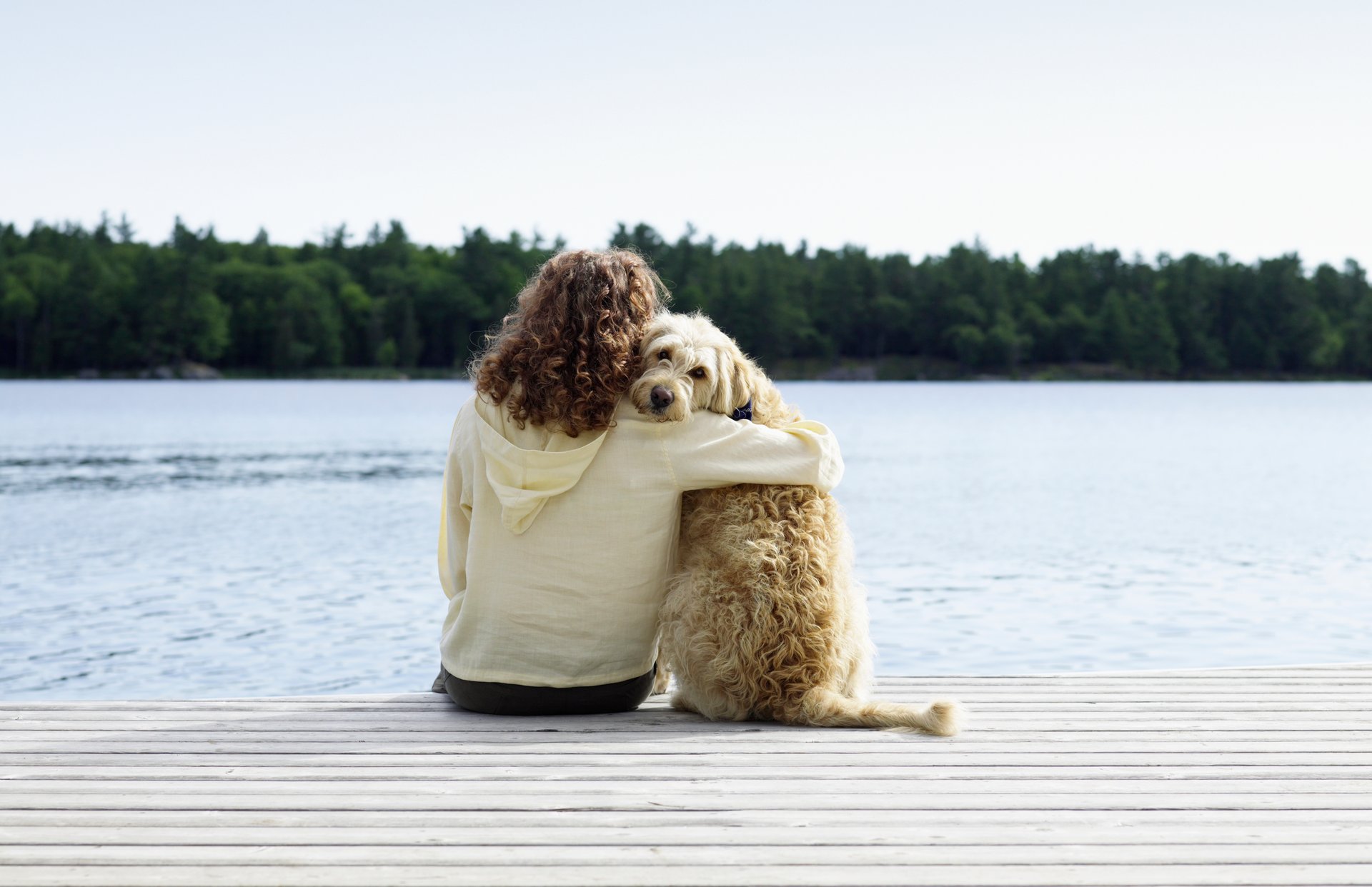 The IRS faces a lawsuit that would reclassify pets as dependents