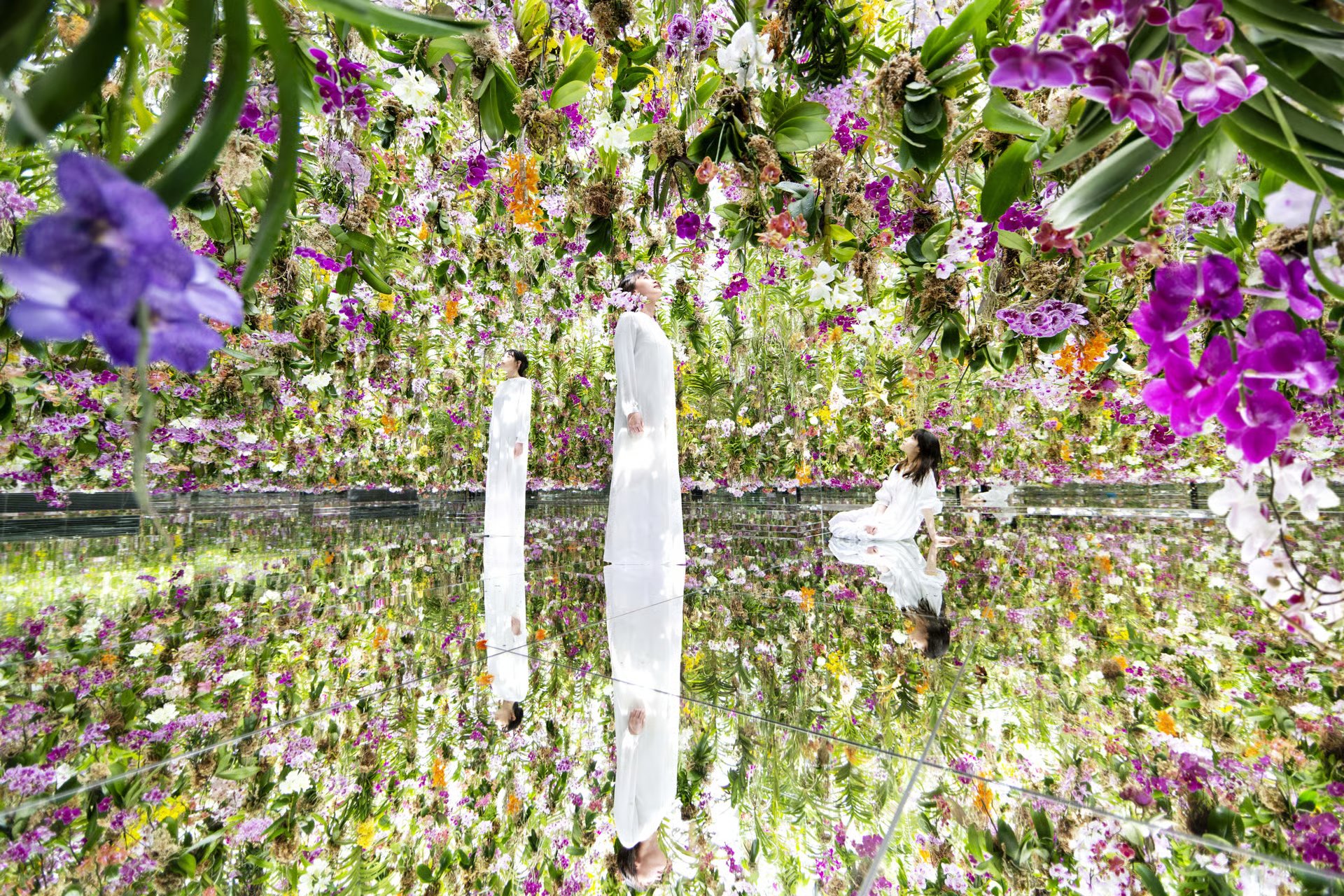 The best museums in Tokyo for art, history, and culture