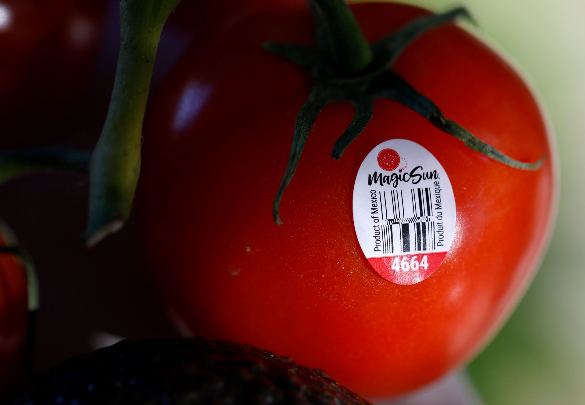 Ein neuer Zoll auf mexikanische Tomaten ist gerade in Kraft getreten — und die Amerikaner könnten es bald spüren.