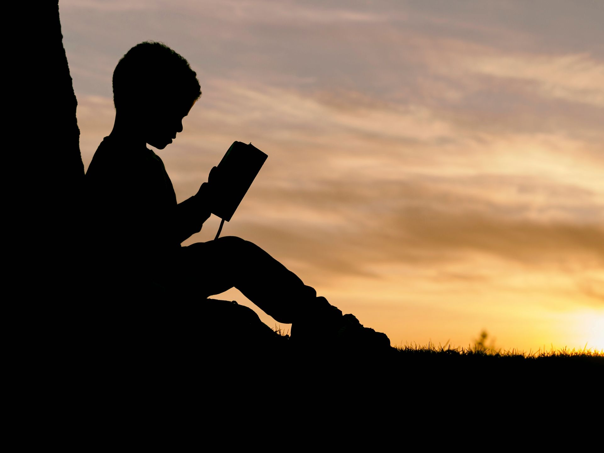 Best graphic novels for kids they'll want to read again and again