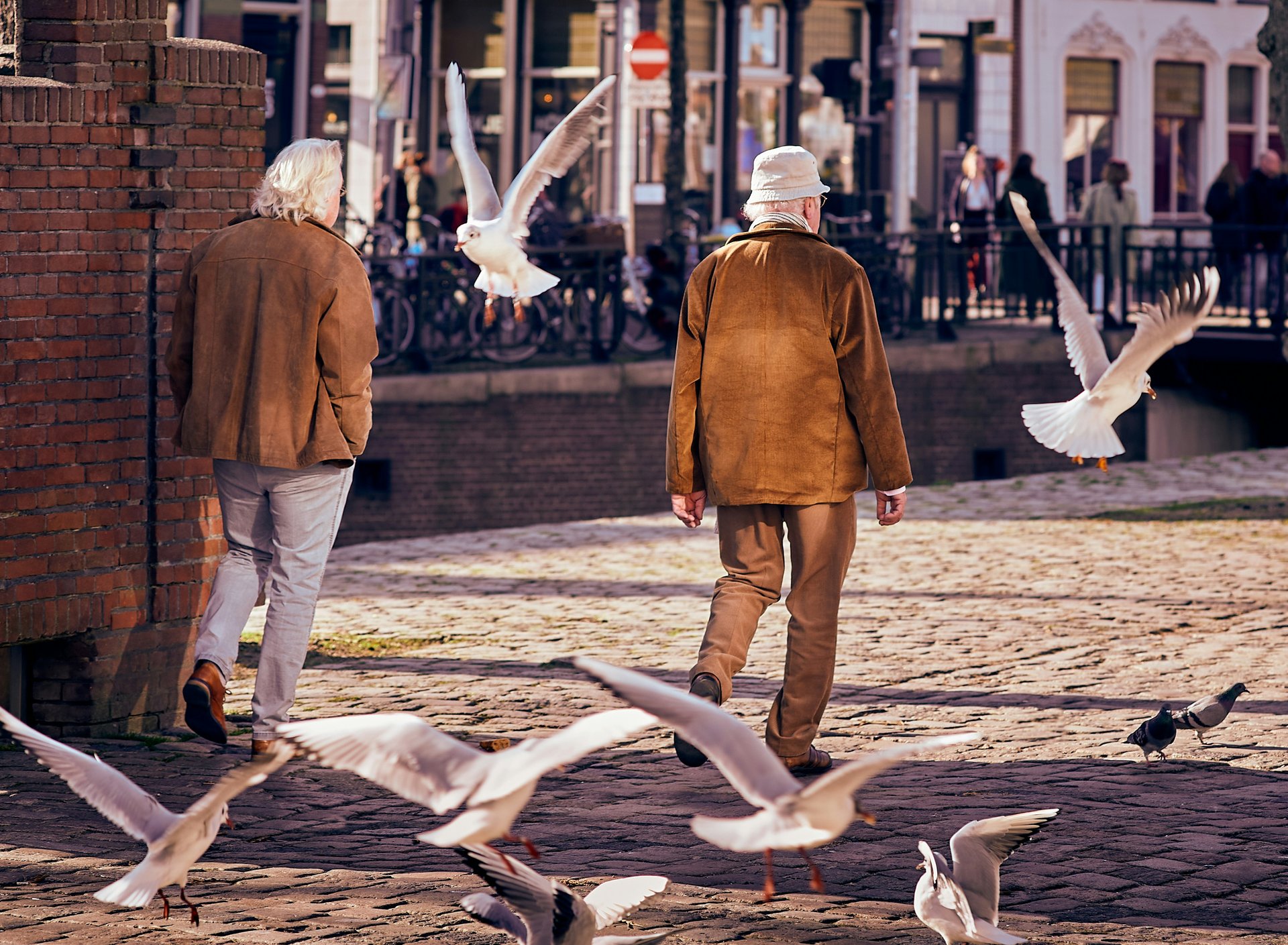 8 of the best countries for aging gracefully