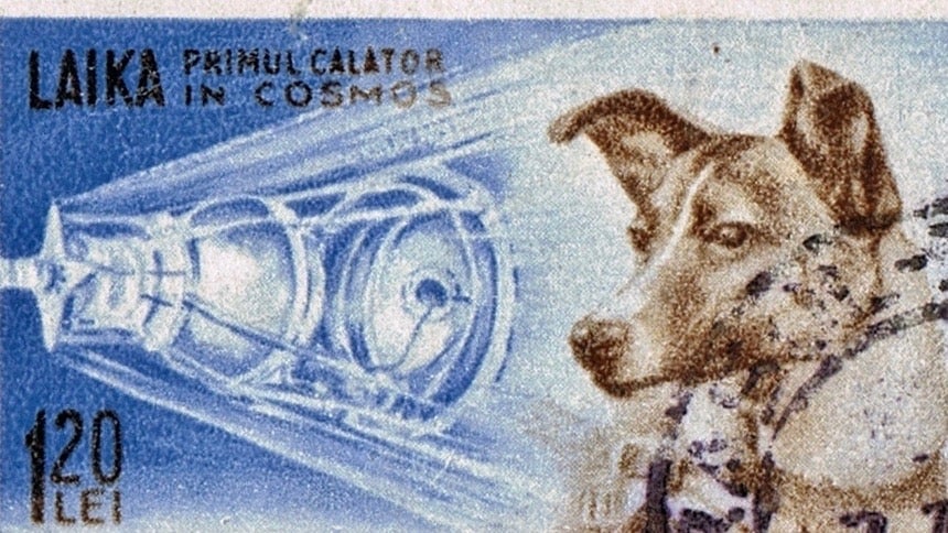 A stray dog became the world’s first cosmonaut 60 years ago today