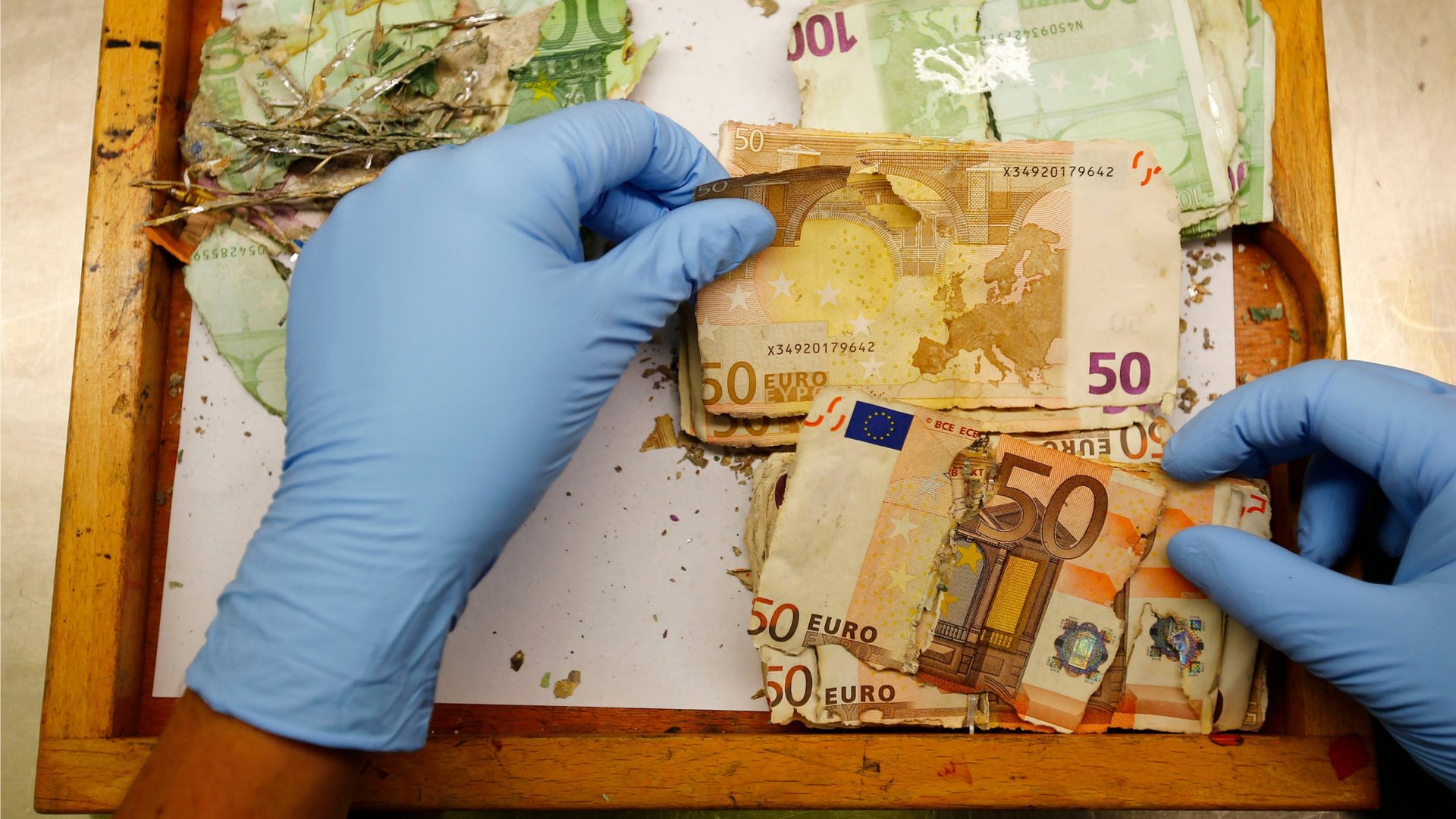 Germany is reconstructing piles of flood-damaged cash—just to burn them