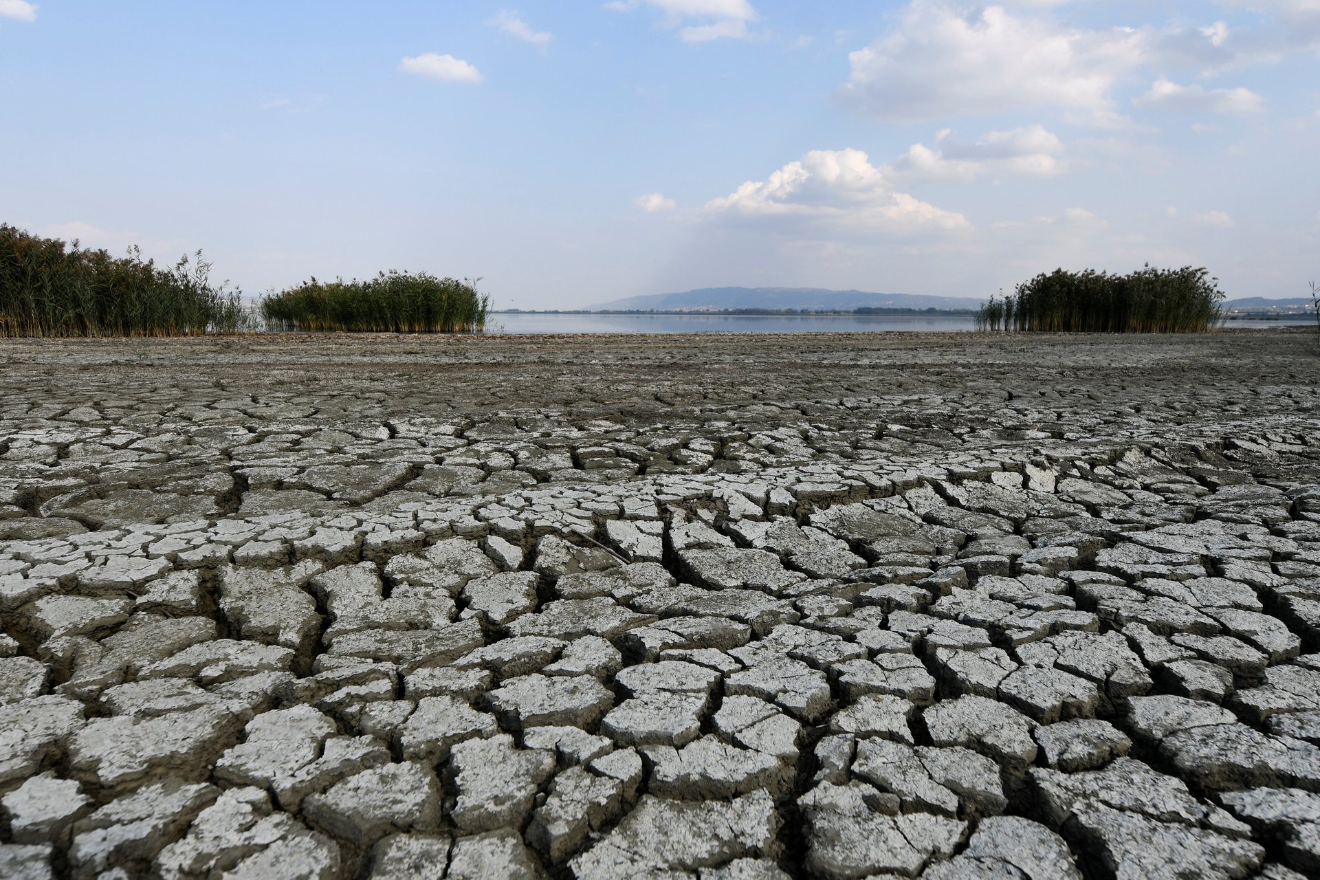 The players tackling the business world’s complex relationship with water