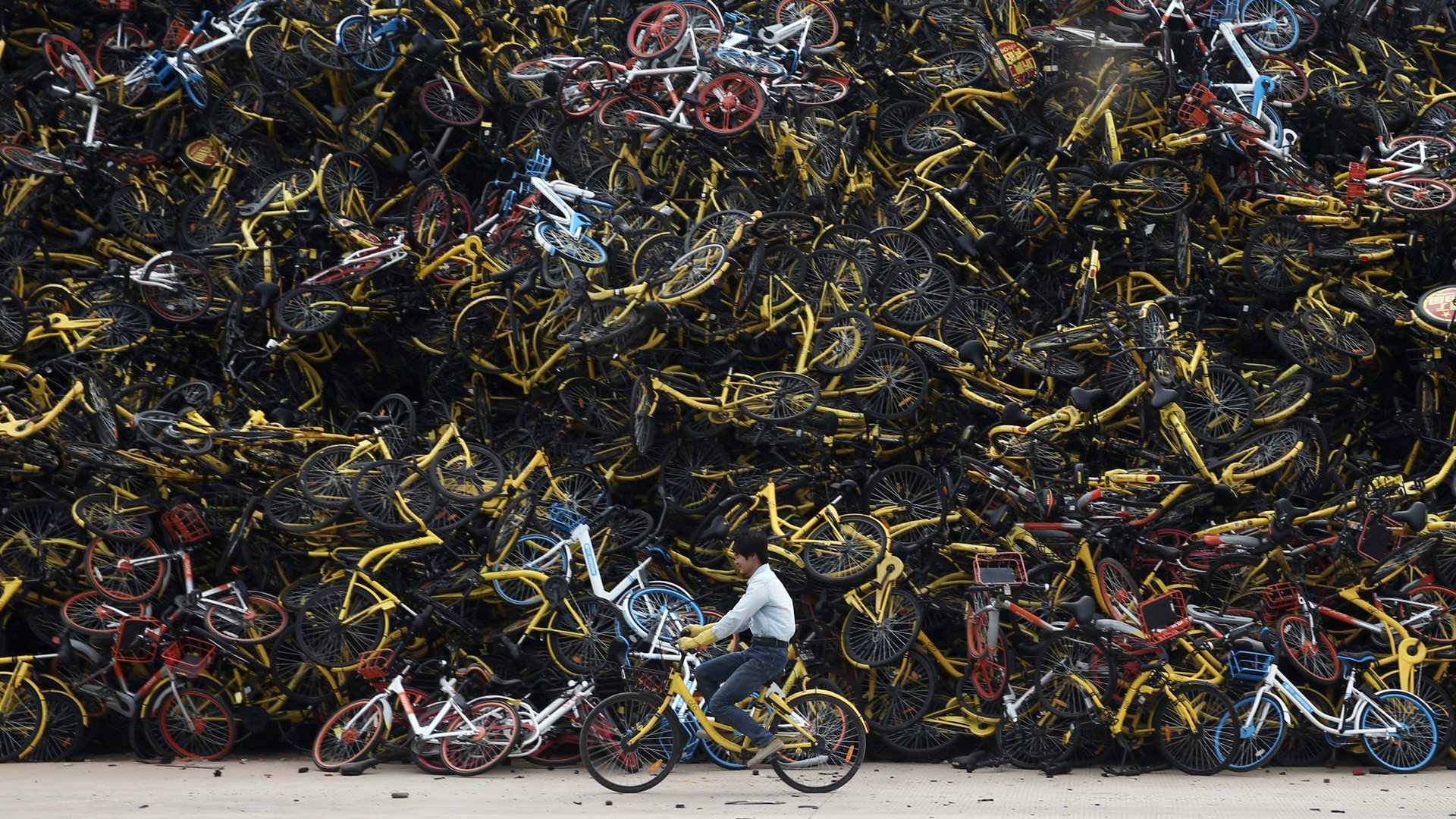 China’s sharing bubble has produced the Chinese character of the year