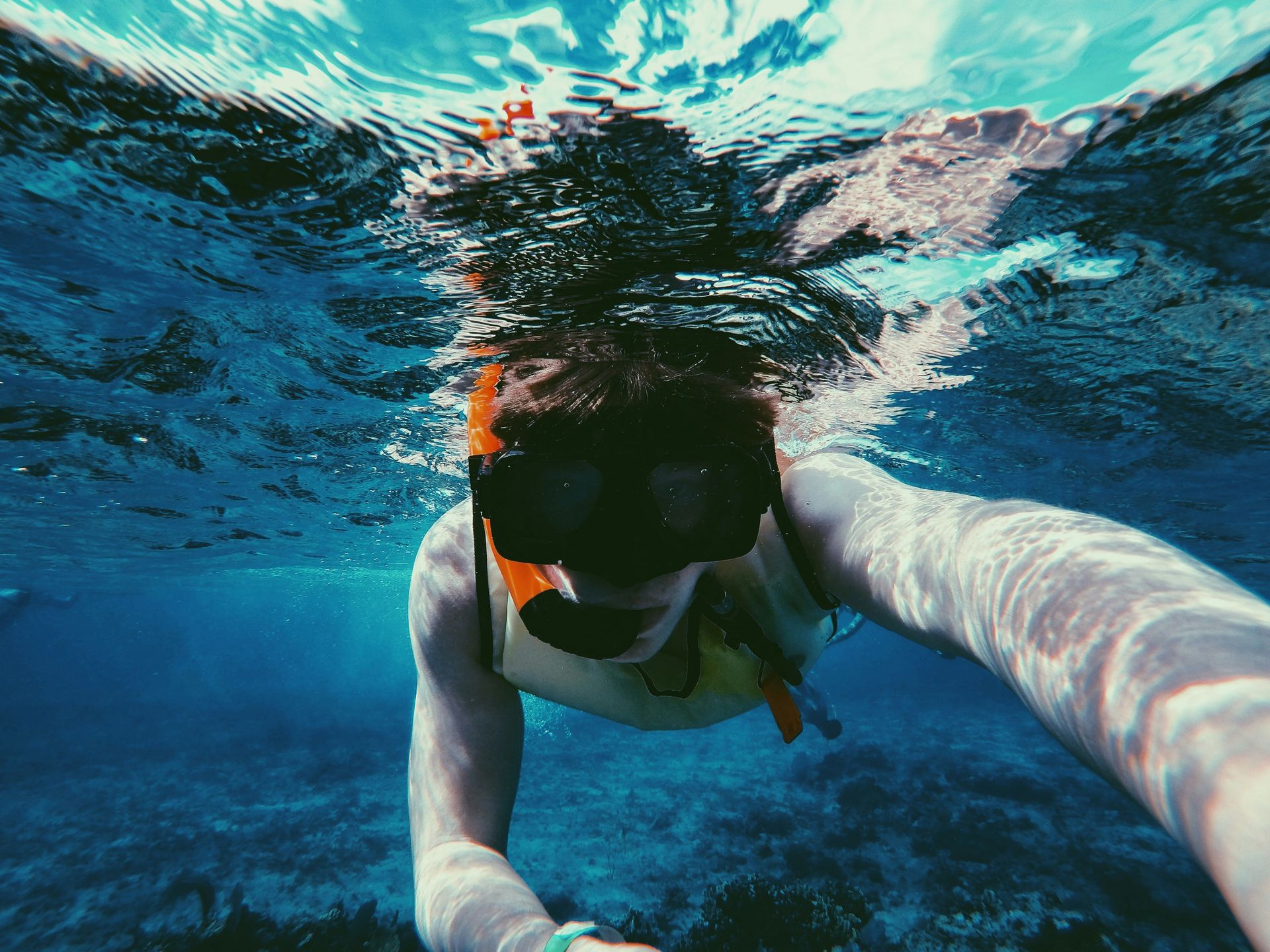 The 7 most incredible snorkeling spots in the Caribbean