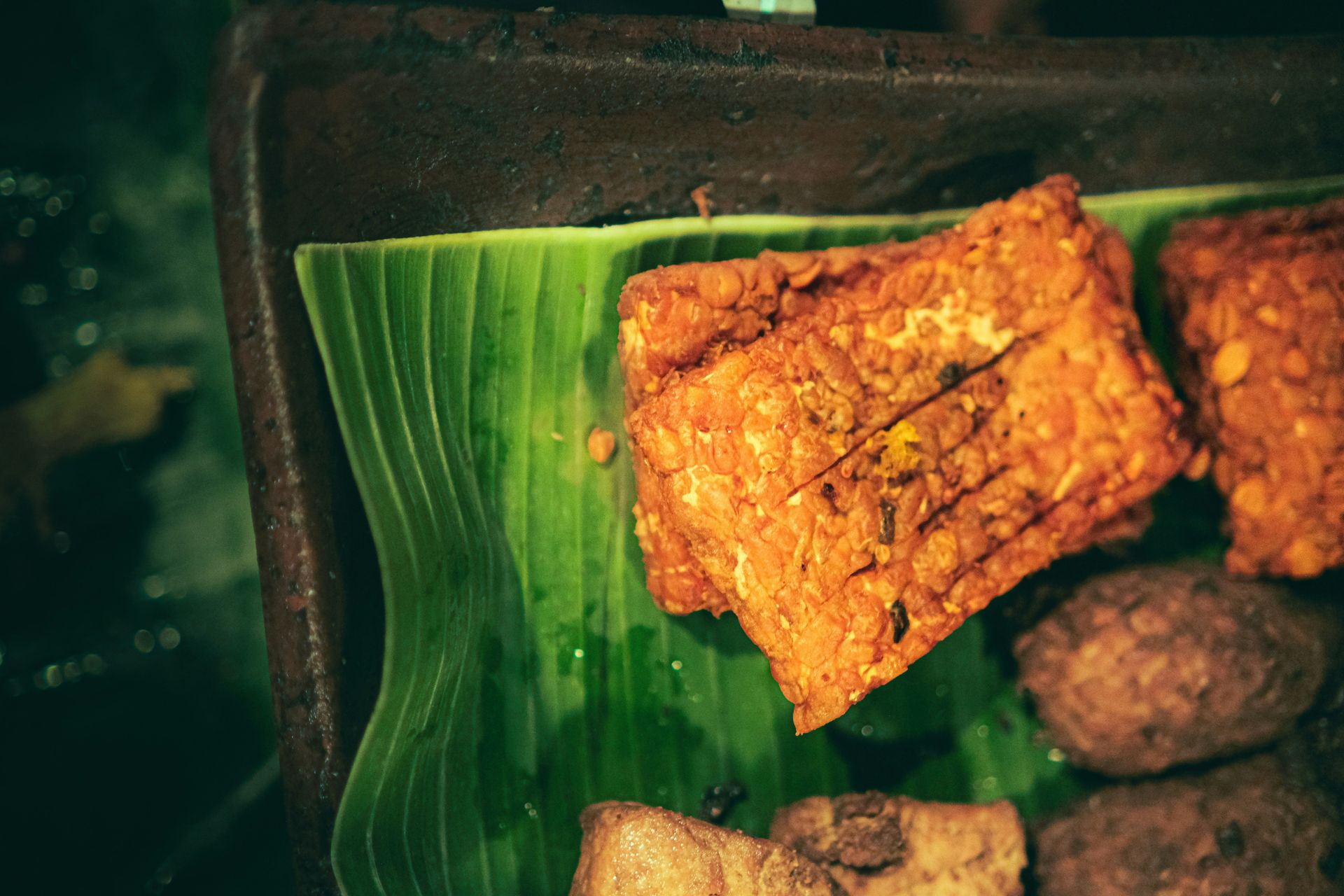 tempeh on a green garnish