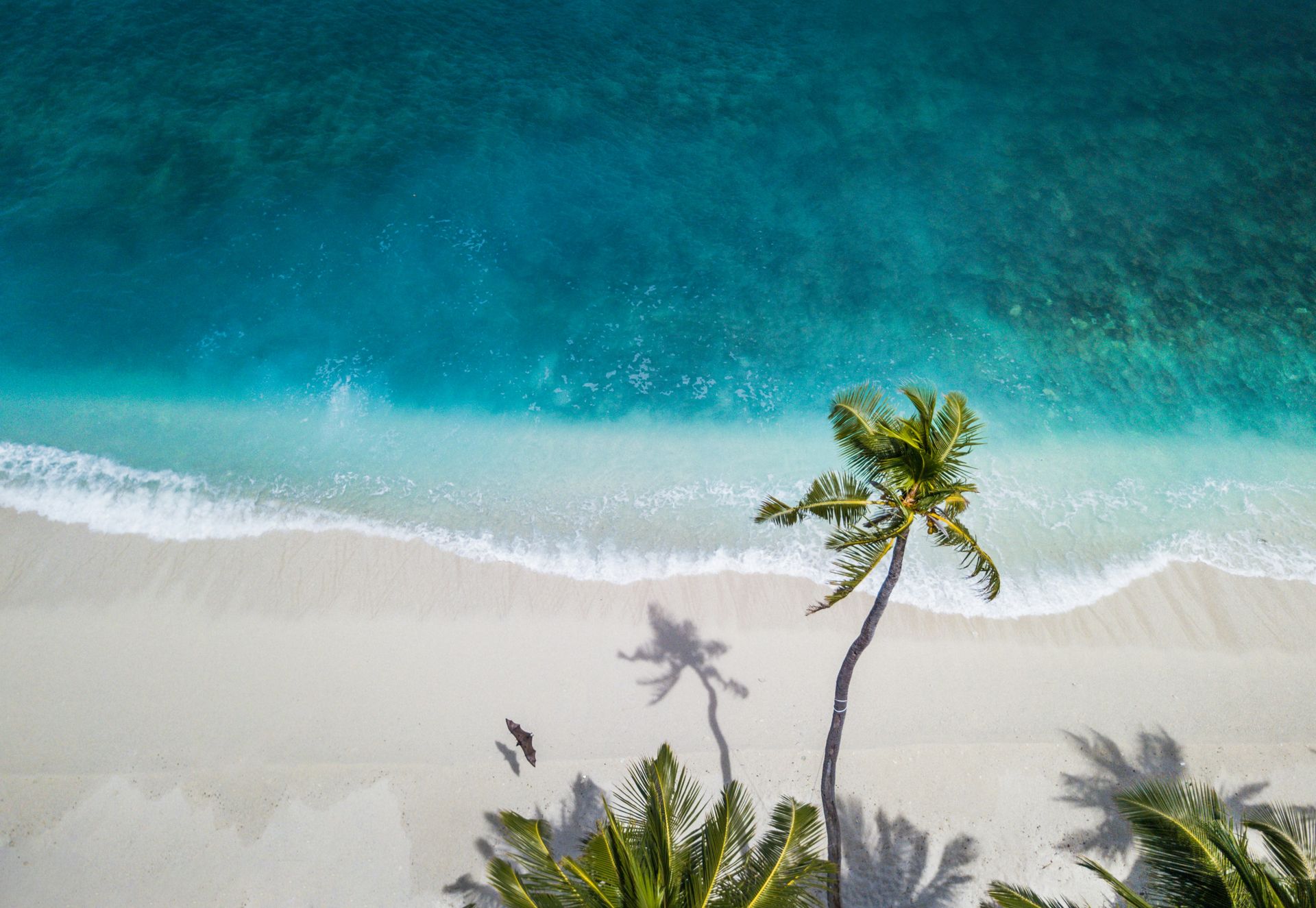 10 de las playas más apartadas que quedan en la Tierra