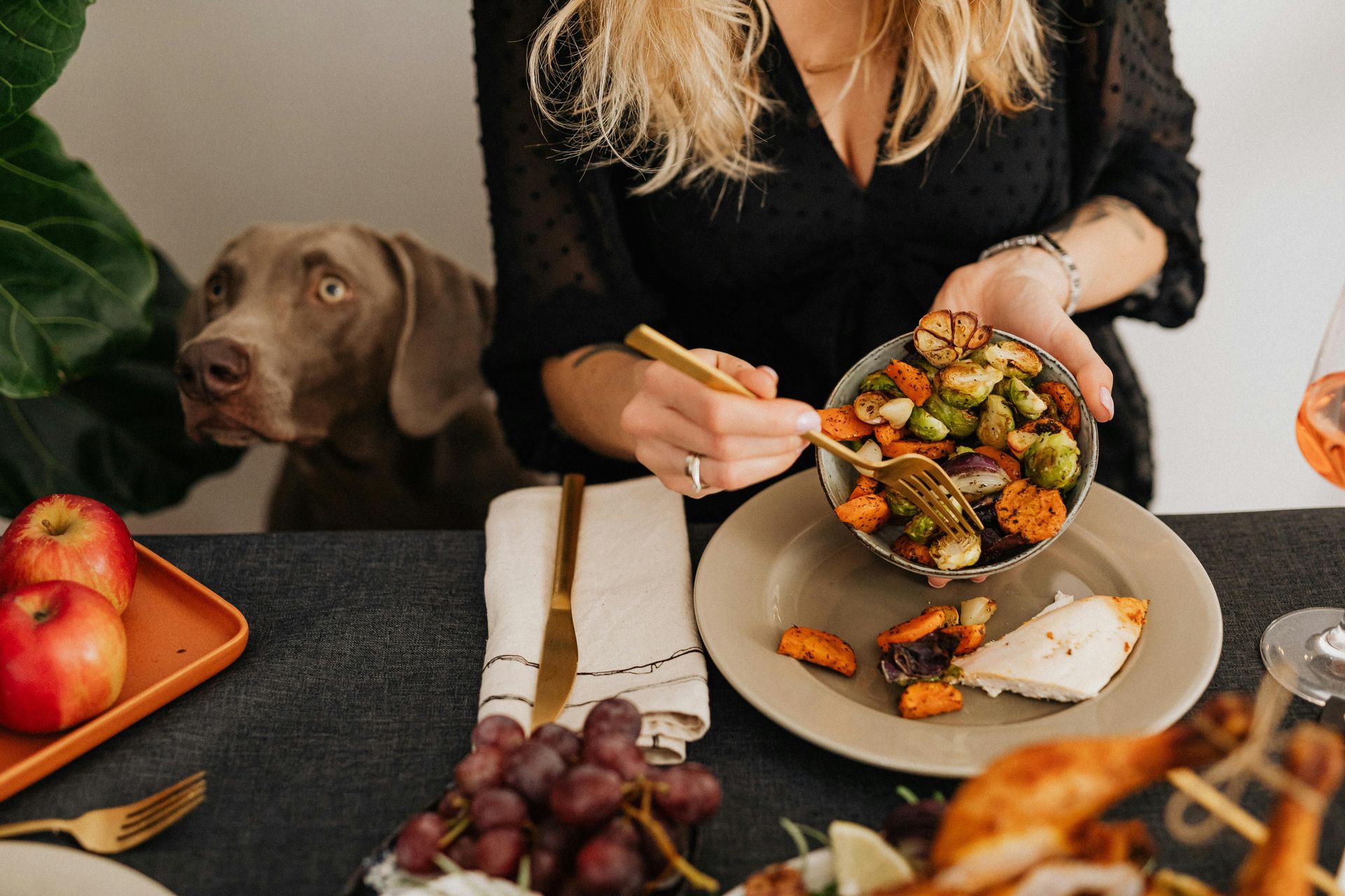 Dog begging for scraps at the dinner table