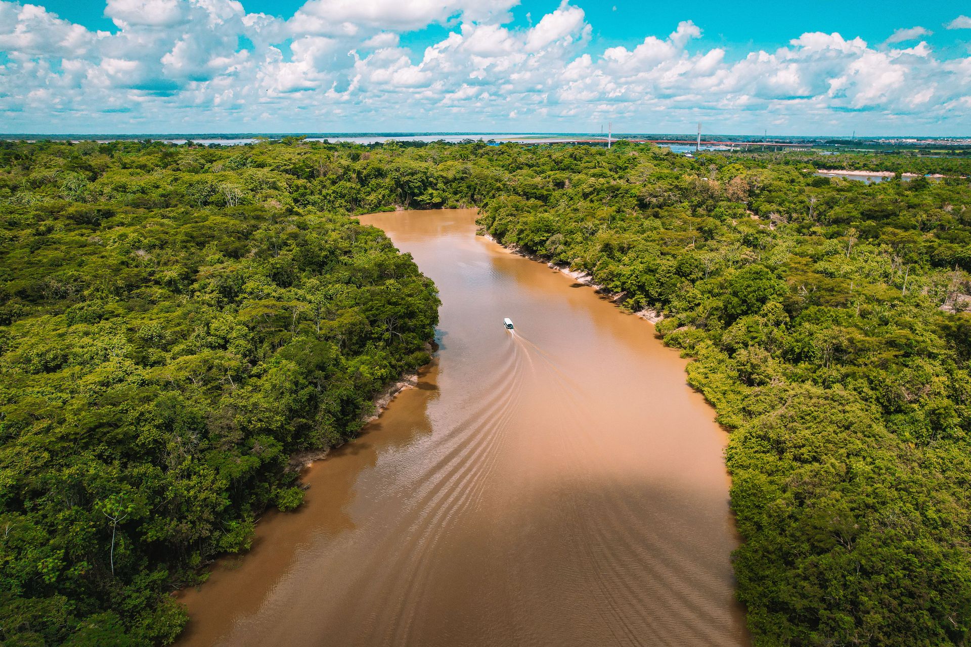 15 ecosystems quietly running the planet, one species at a time