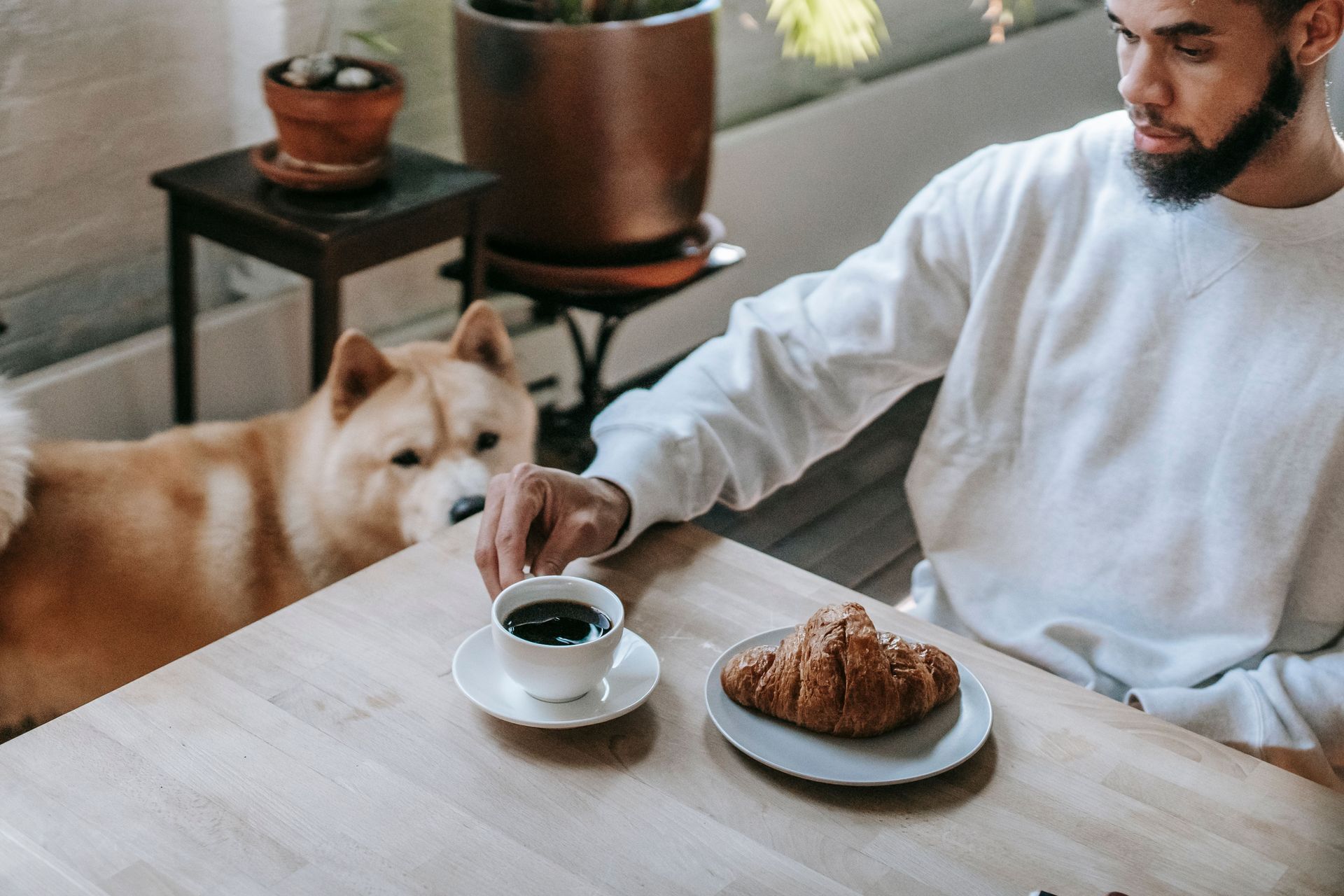 10 foods that are safe — and even healthy — to share with your dog