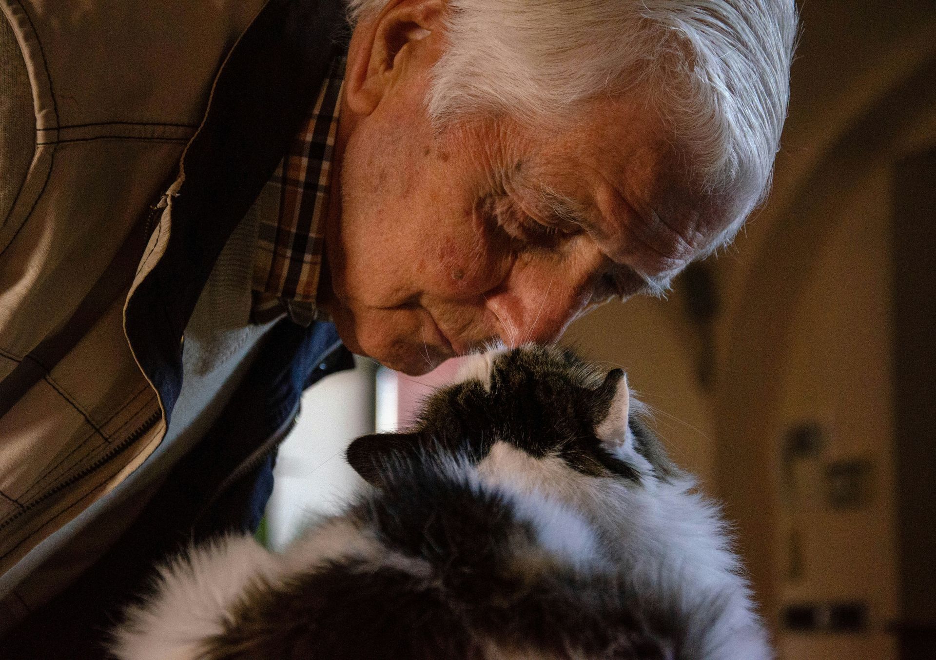 10 quiet ways your dog or cat shows their age