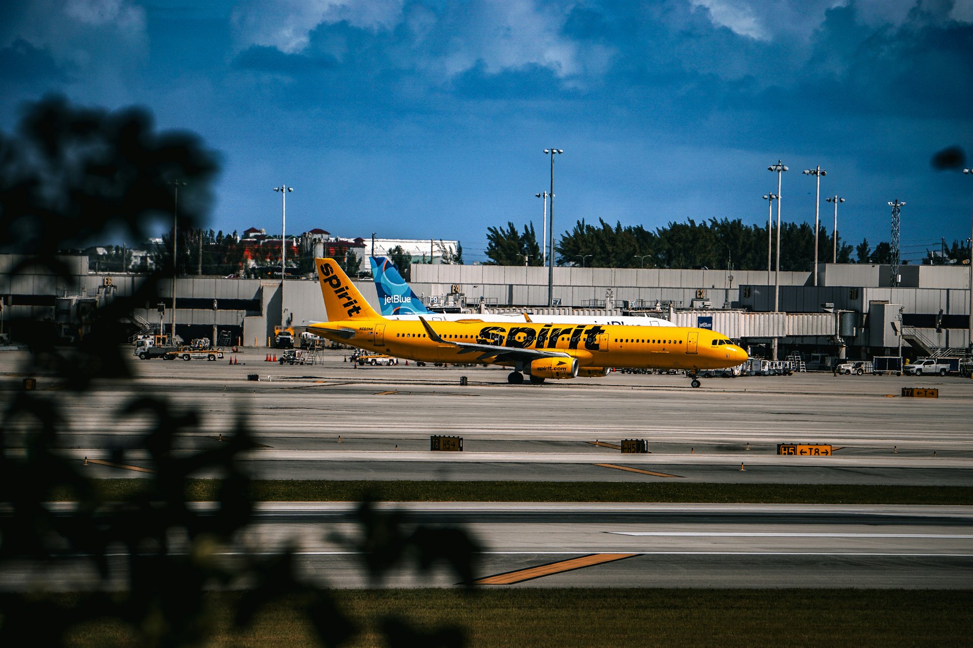 Best Budget Alternatives to Spirit Airlines