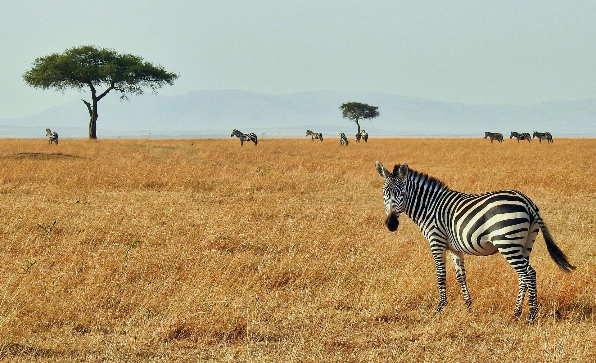 The most underrated safari destinations, according to Travel + Leisure