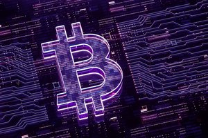 Bitcoin rally