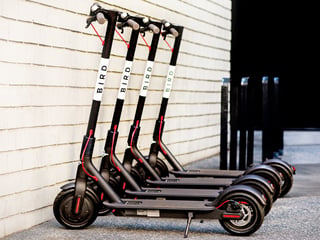 Do Bird Scooters Have Cameras: Surprising Facts Revealed!
