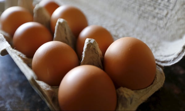 Recalled eggs from Texas have been linked to a salmonella outbreak across 17 states