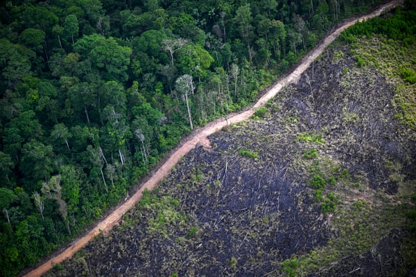 Nature has a funding gap