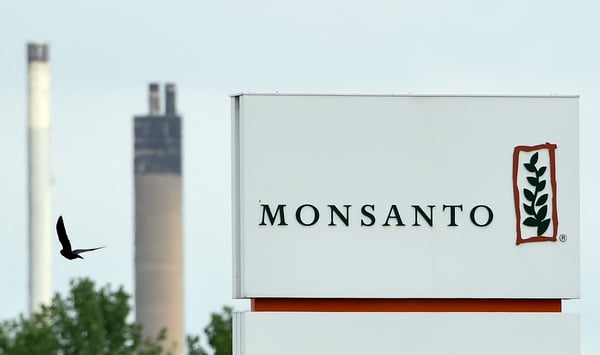 Supreme Court rules federal law shields Monsanto from Roundup cancer lawsuits