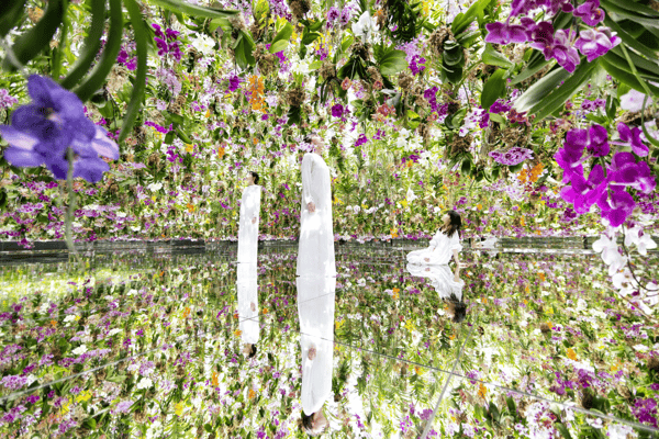 The best museums in Tokyo for art, history, and culture