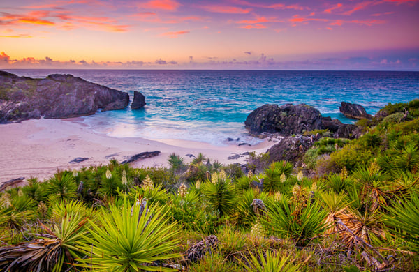 The 7 best things to do in Bermuda