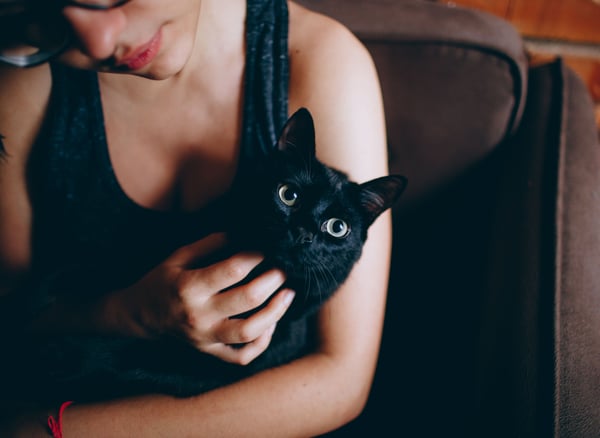 15 things most cat owners do that cats actually hate