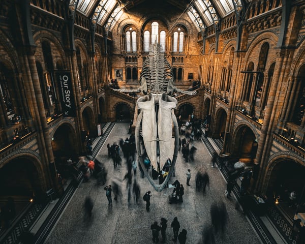 15 discoveries that changed what we thought we knew about the ancient world